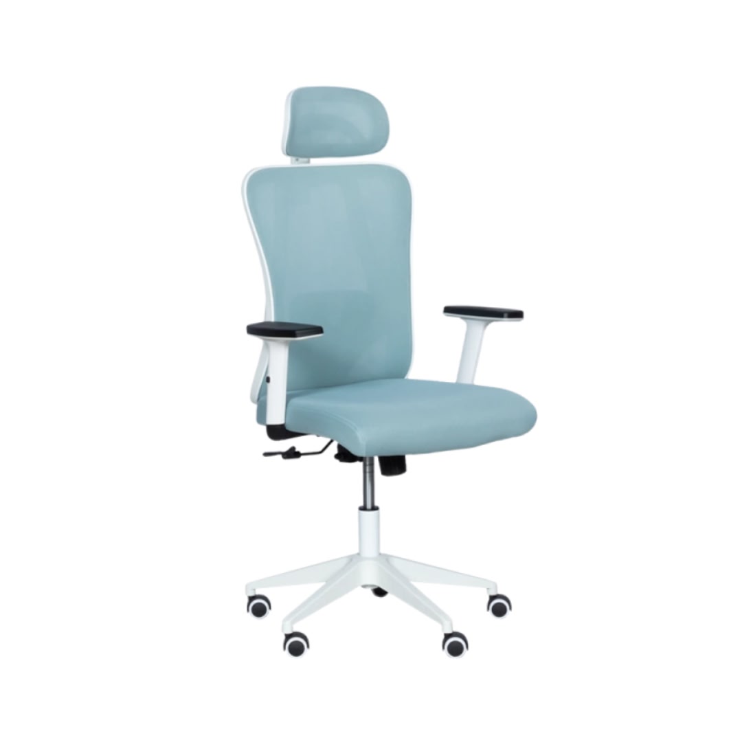 Ergonomichen-stol-Carmen-7588-svetlosin